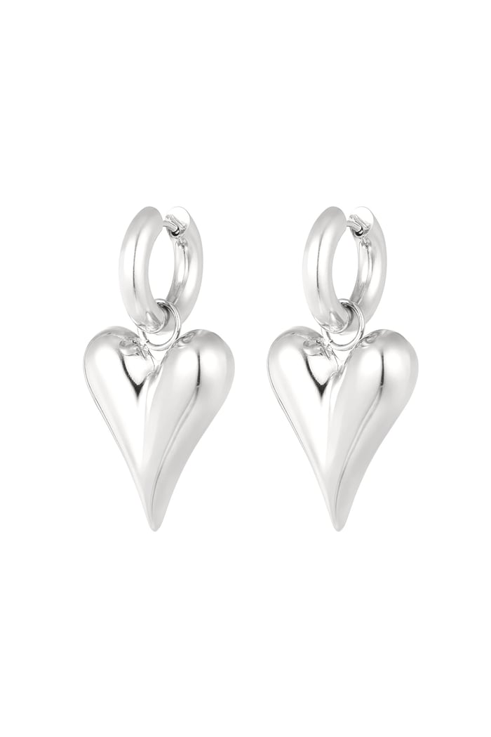 Trendy hartjes oorbellen zilver